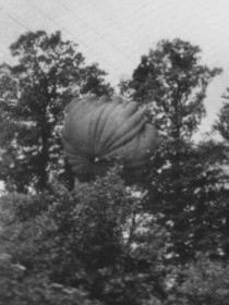 Airborne parachute stuck in a tree outside Utah Beach - Normandy, France.