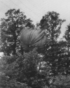 Parachute canopy stuck in a tree from the Airborne jump into Normandy, France.